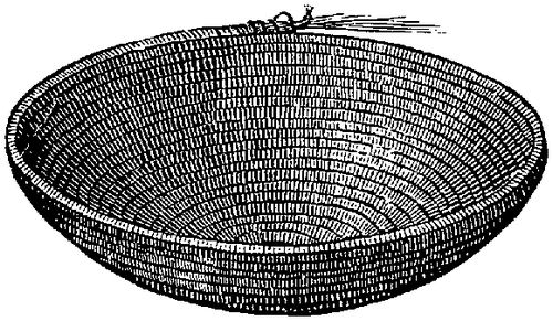 Fig. 319. Base of coiled basket showing the method of building by dual coiling